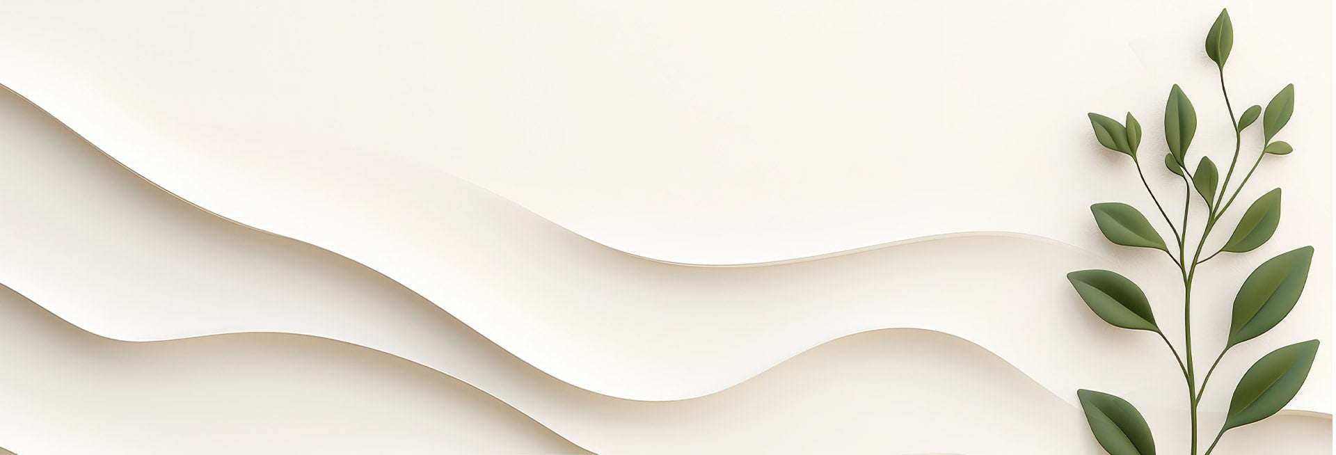 collection-banner-image